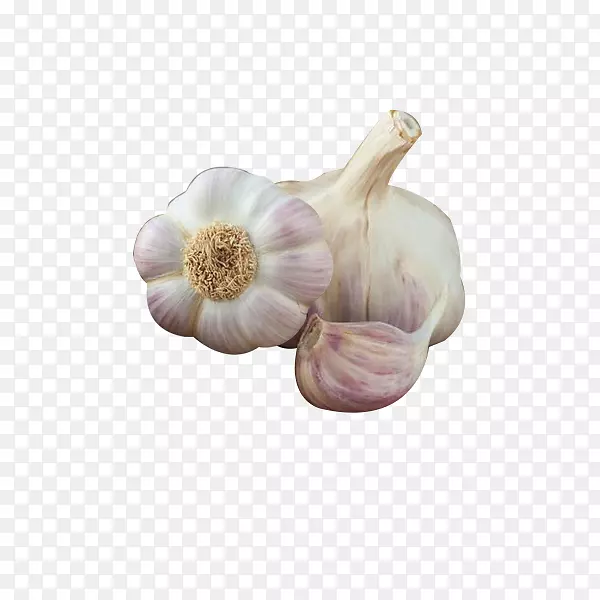 �л�ʳƷ�����߲�ˮ���л��߲˴���-������