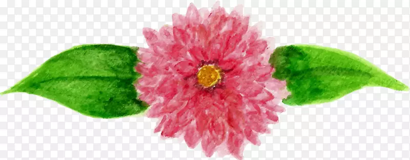 �ۺ�ɫm��������ֲ��һ����ֲ��.ˮ������-������