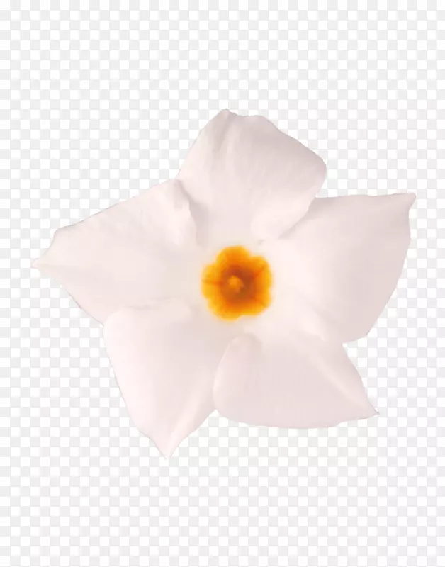 ����ֲ��-â��ɽׯ-������