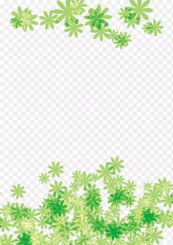 ֲ�ﾥҶ����ֲ��Ҷ-������