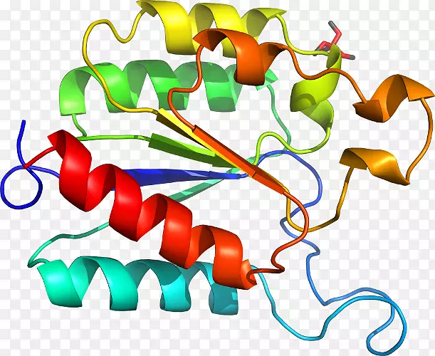 �ߵ������������-������