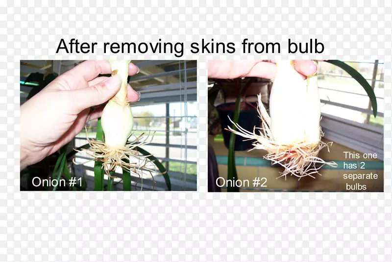 ָ�����-������