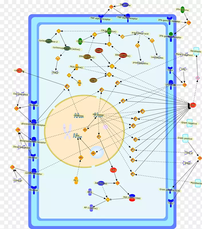 �ߵ��ͼ-��-������