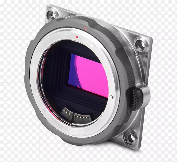 ���������˾-������