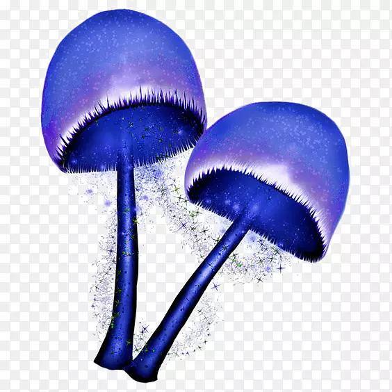 Ģ����������-Ģ��-������