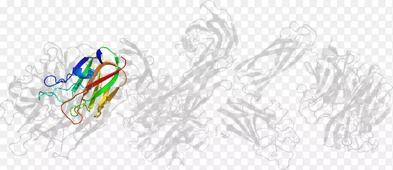 �滭ƽ����Ƽ��������-������