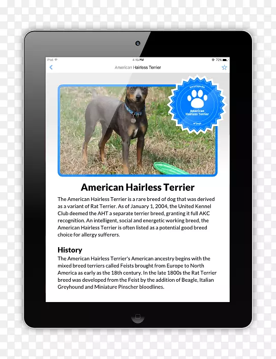 ����ý����Ʒ�ƹ�-������