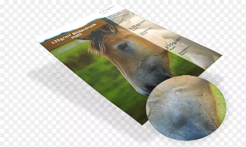 �ǲ�-������