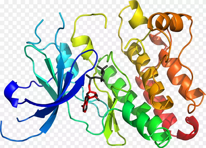 �����߶����������-������