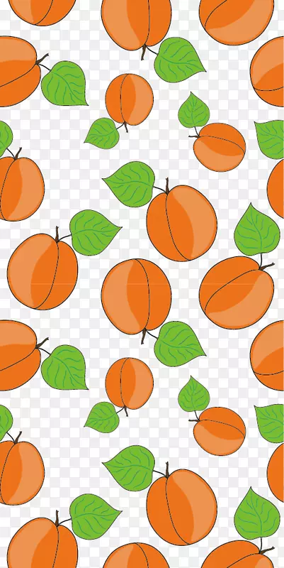 ��ý��-������