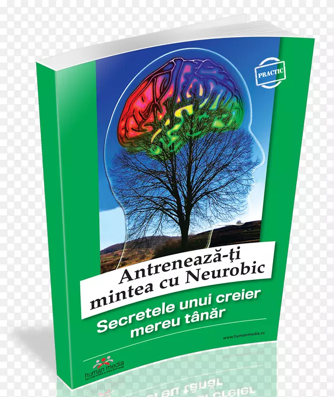 ����AGY��֢�����ҩ������ͽ���ָ������-������