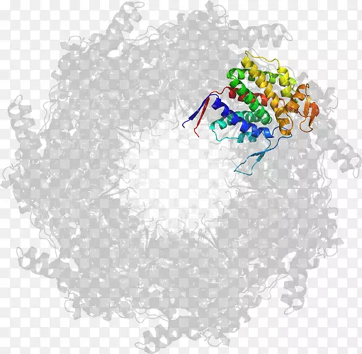 �����ߵ���-������