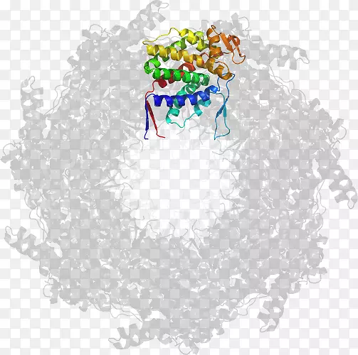 ���ַ�������-��-������