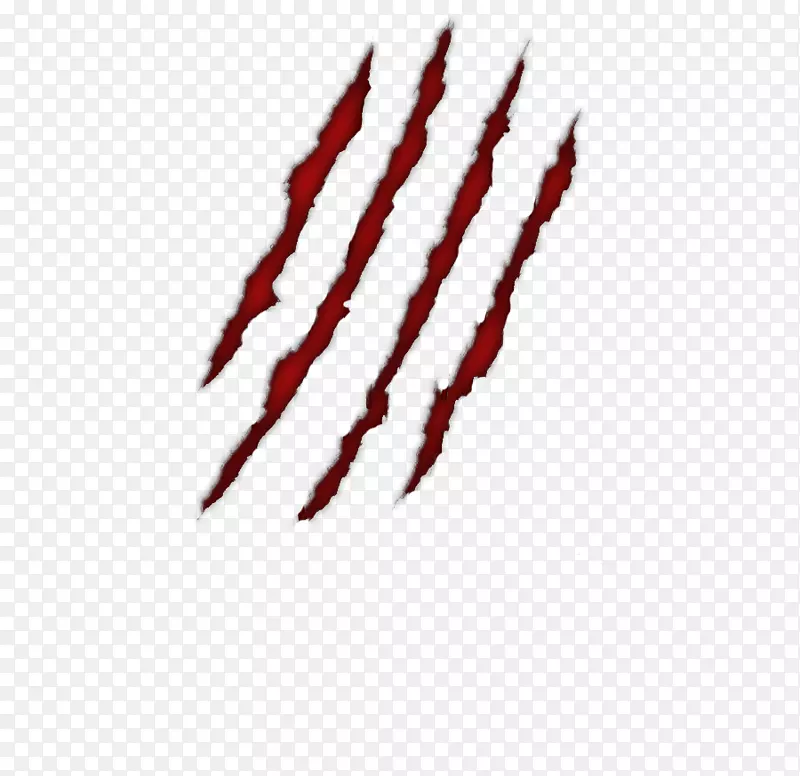 ������-צ����-������