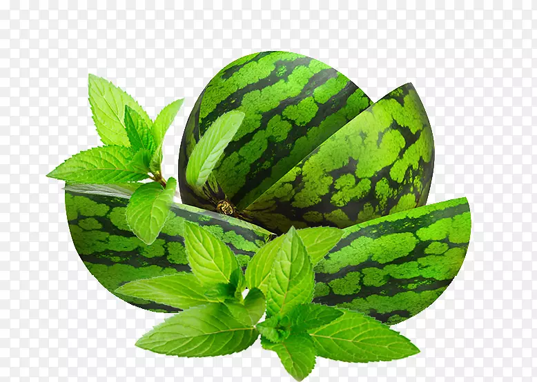 ���Ϻ컨��-���Ϲ�Ҷ-������