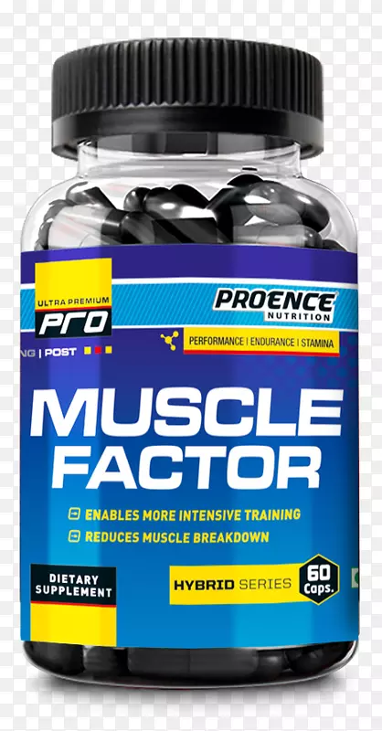 ��ʳ�����֧����������谱����֧�����������-������