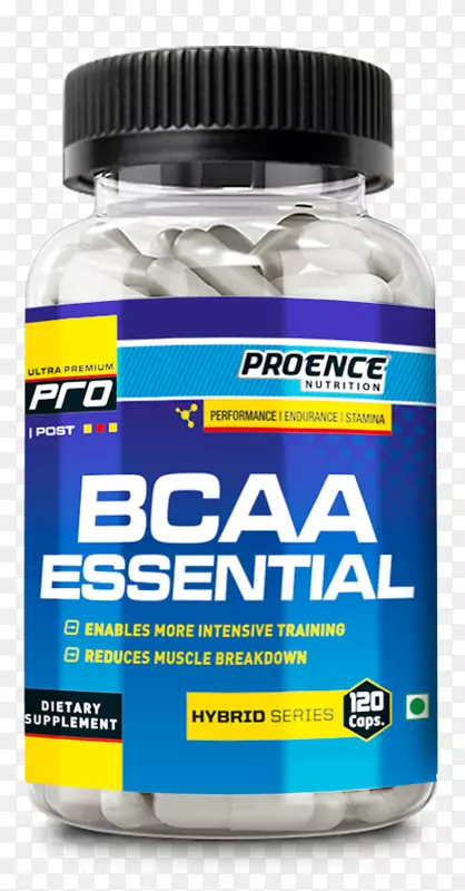 ��ʳ���������������������谱�����˶�Ӫ��.���������-������