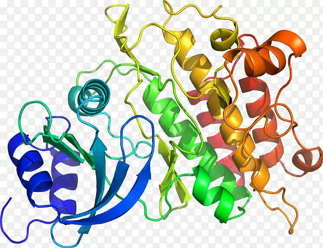 ����ֲ���л��������-�߲�-������