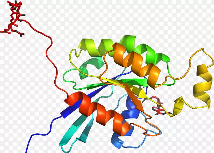 �ߵ������������-������