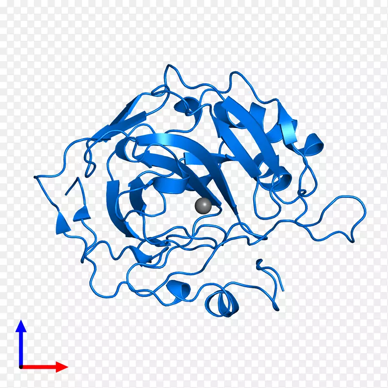 �ߵ�������������-������