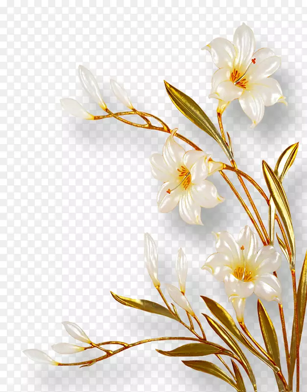 ������ƻ���ֲ��-������