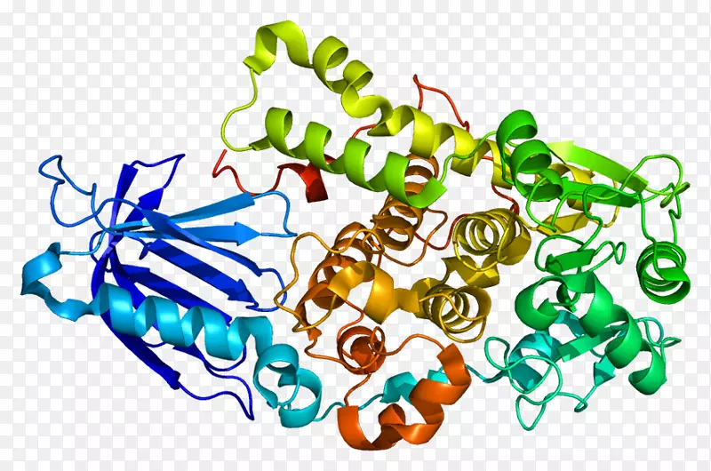 ���������л����߼�������-������