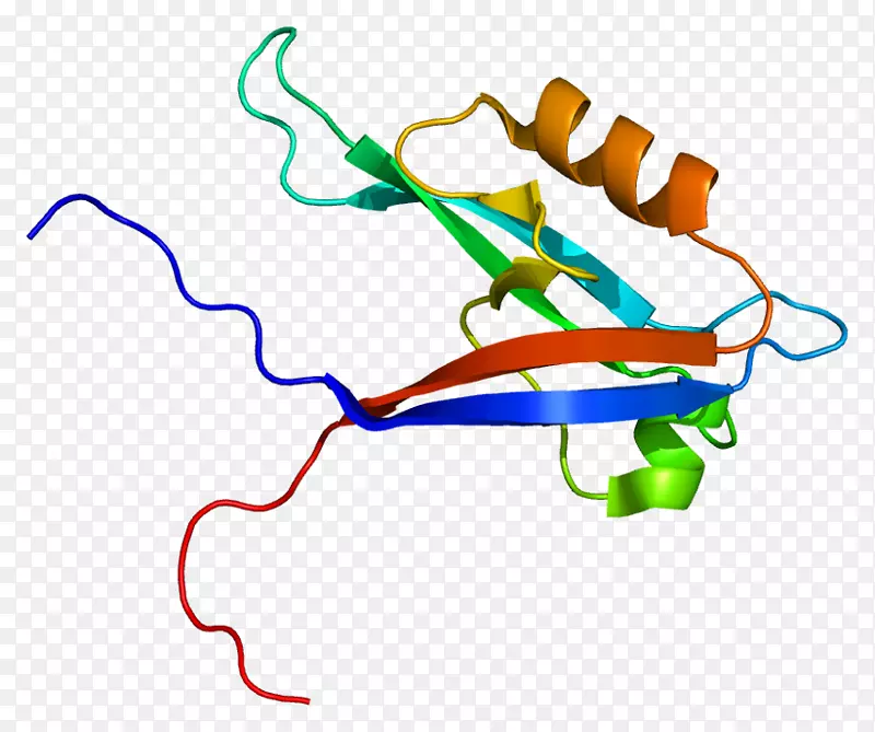 �ߵ������������-������