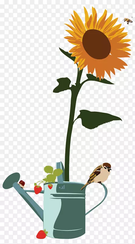 ��ͨ���տ���ɫ������-��ɫ���տ�-������