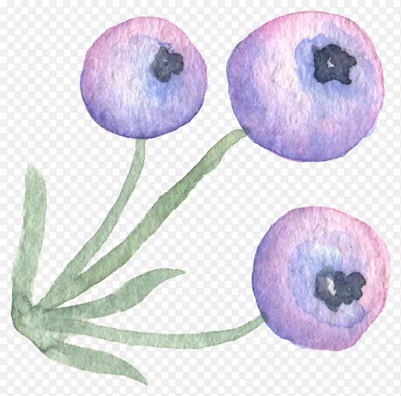 ������ˮ�ʻ�.īˮ�ֻ���Ů����ֲ��-������