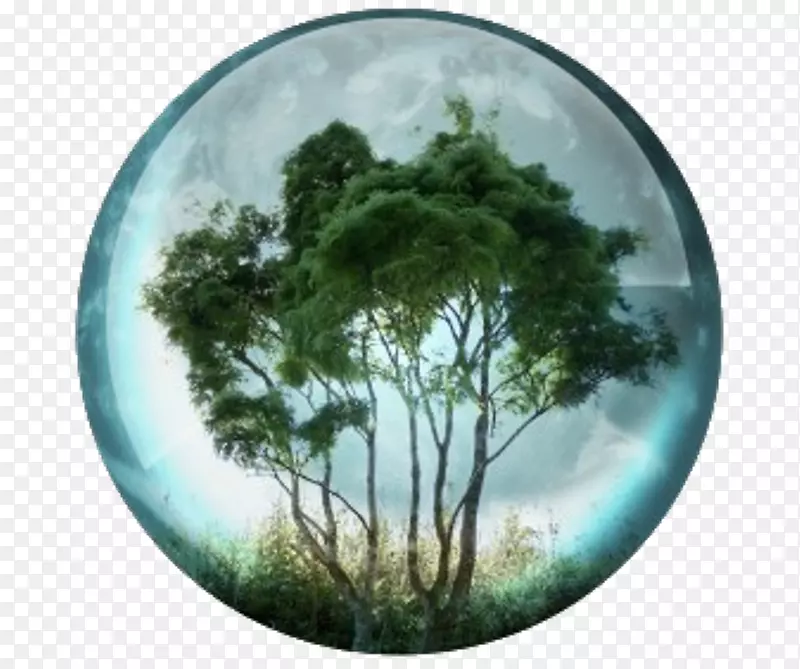 ��Ȼ�����ɳ����Ի�����Դ�����ϰ��޻���������Ȼ����-������