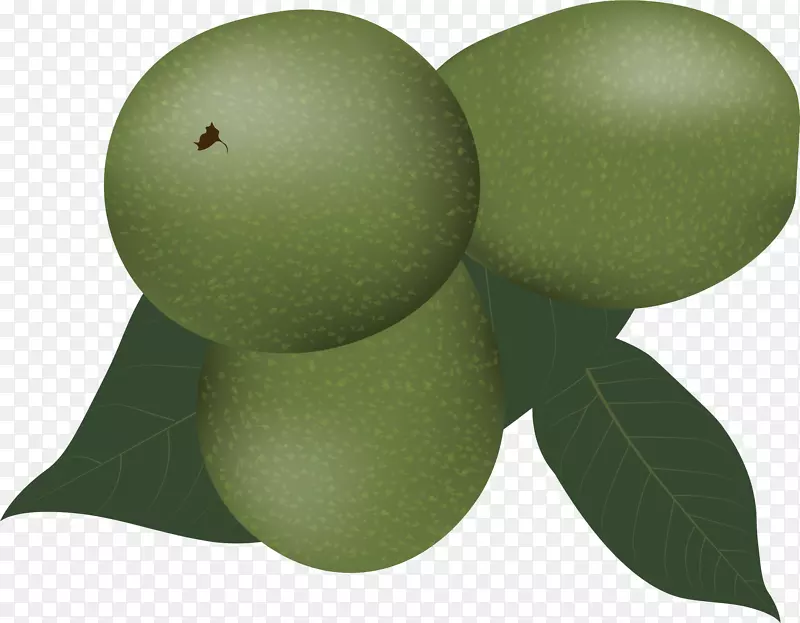 ˮ��������߲���ɫ��魹�-������