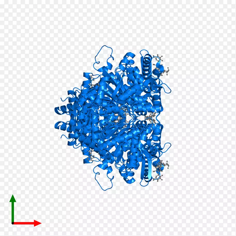 �ߵ�������-������