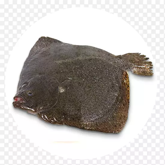 ��Ŀ���ͯ����Ӥ��-��Ů-��ͯ-������