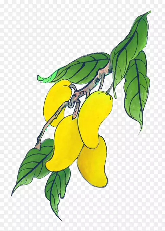 â���¸���˹��ͼ-�ֻ�â��-������