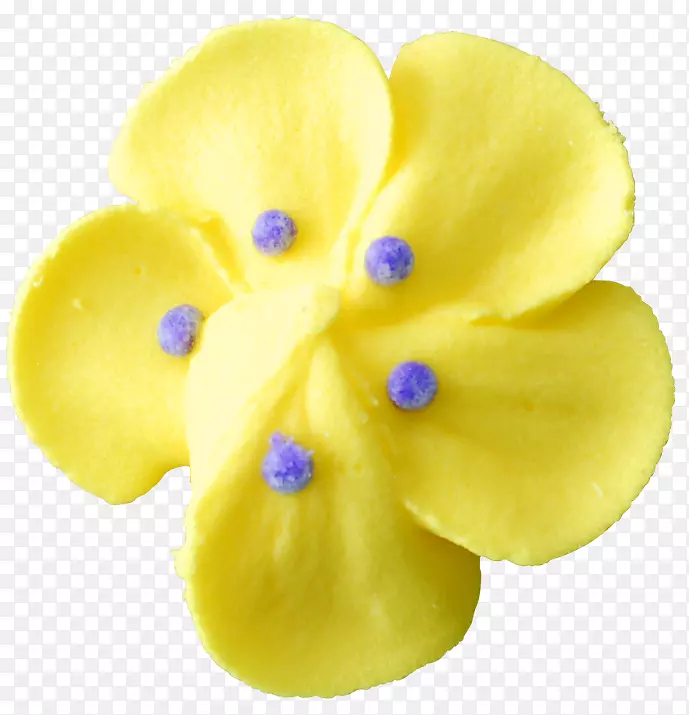 ���Ϳڱ���������-20180207-������