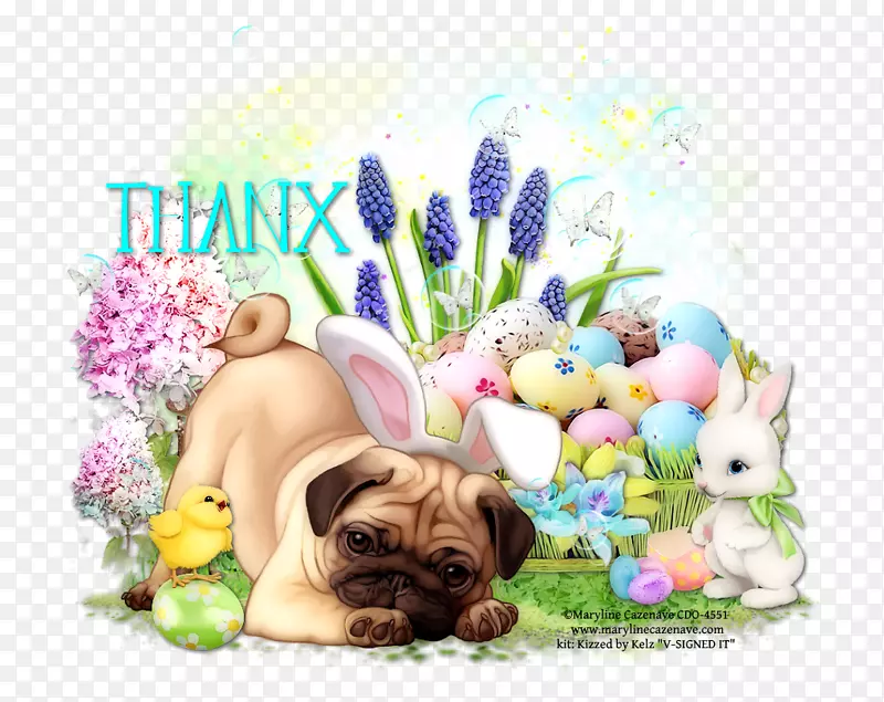 С��ϲ��������-С��-������