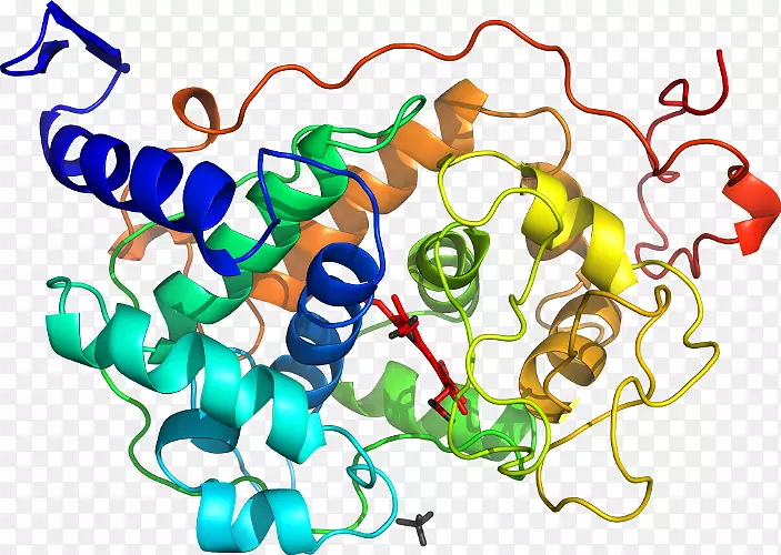 ֱ�ߵ����������-ֱ���˲��-������