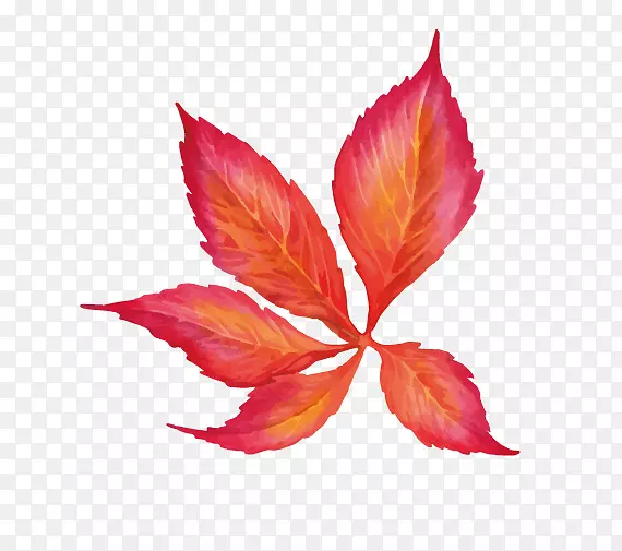 ˮ�ʻ�-Ҷ-������