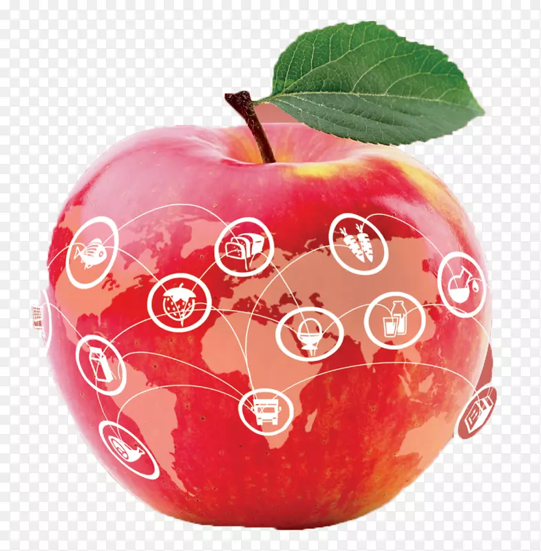 2018��ȫ��ʳƷ��ȫ���ȫ��ʳƷ��ȫ����0-ʳƷ��ȫ����-������