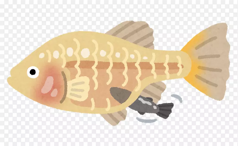 ���ද�����㲶��-������