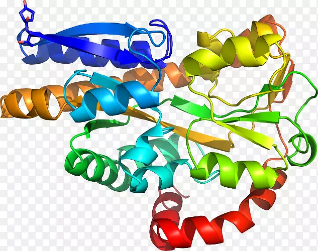 ���������л����߼�������-������