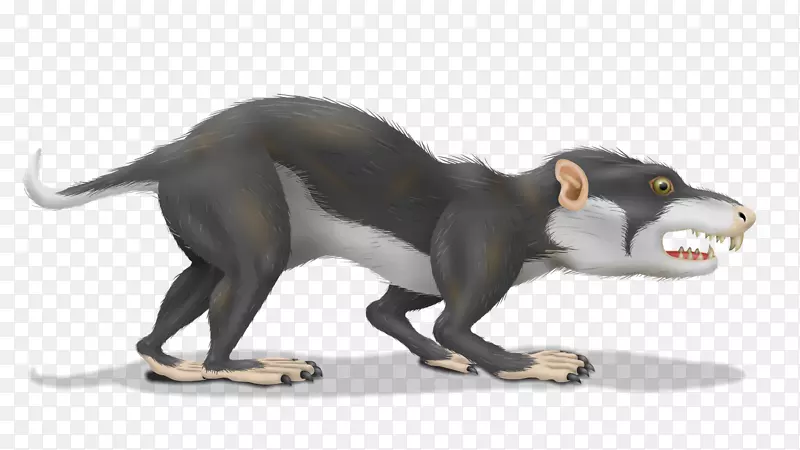 ½���������ʳ��-����-������