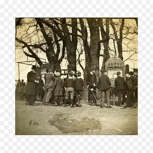 ��Ӱ������-��-������