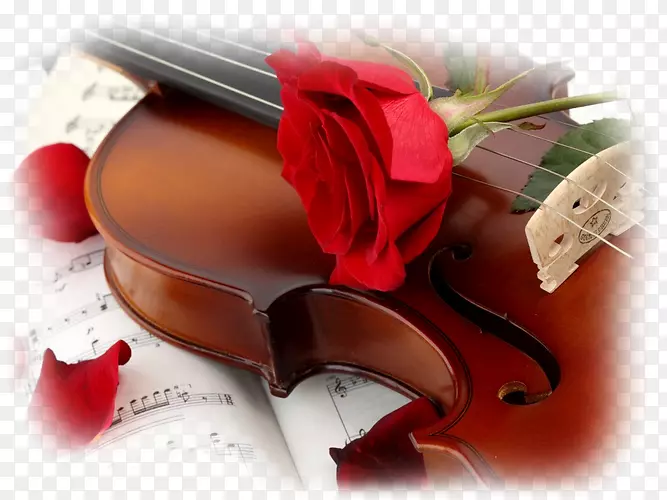 ������֮��-YouTube-������