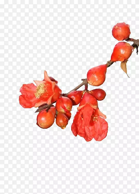 ʯ������-��ɫʯ��-������