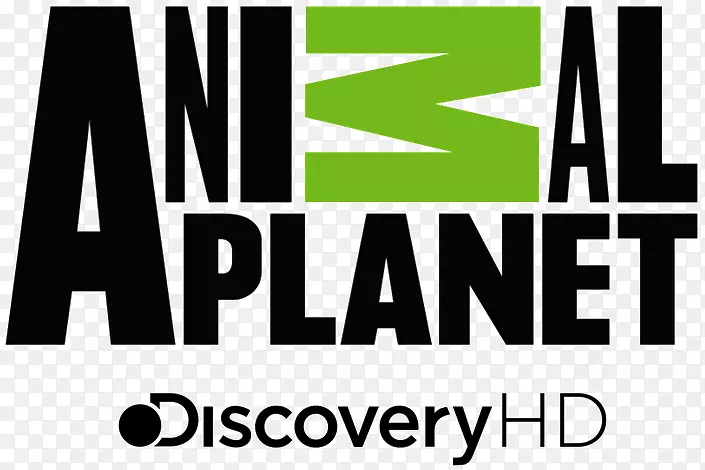 ��������è����Ƶ�����ֹ�˾��-è-������