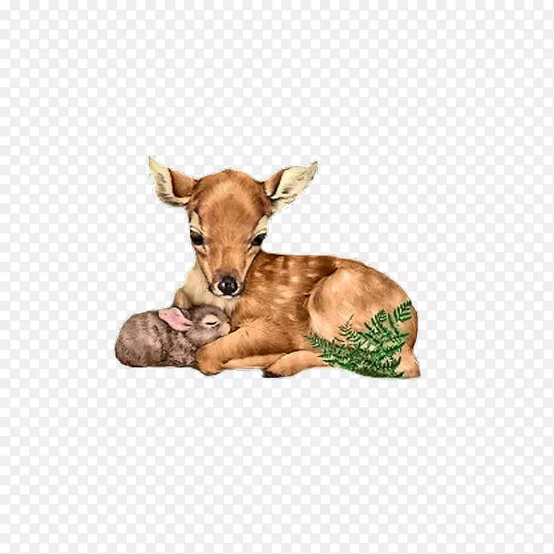 ����������Ӱ�ɶ�-¹-������