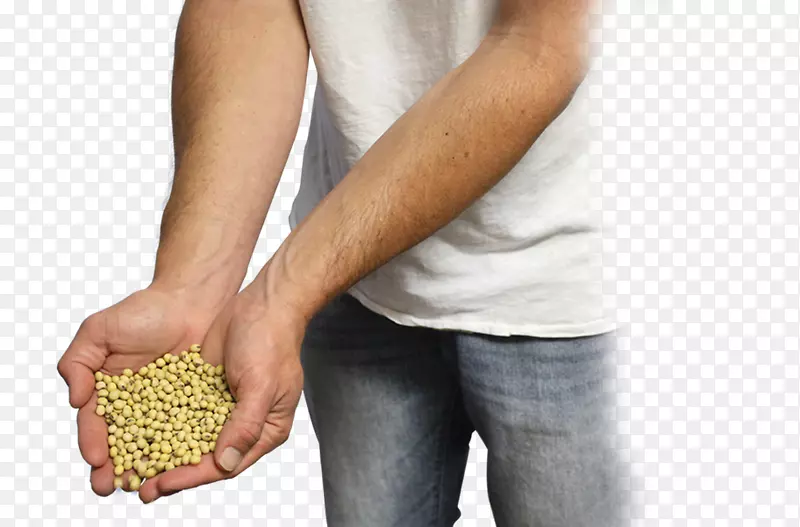 ��ָ-������