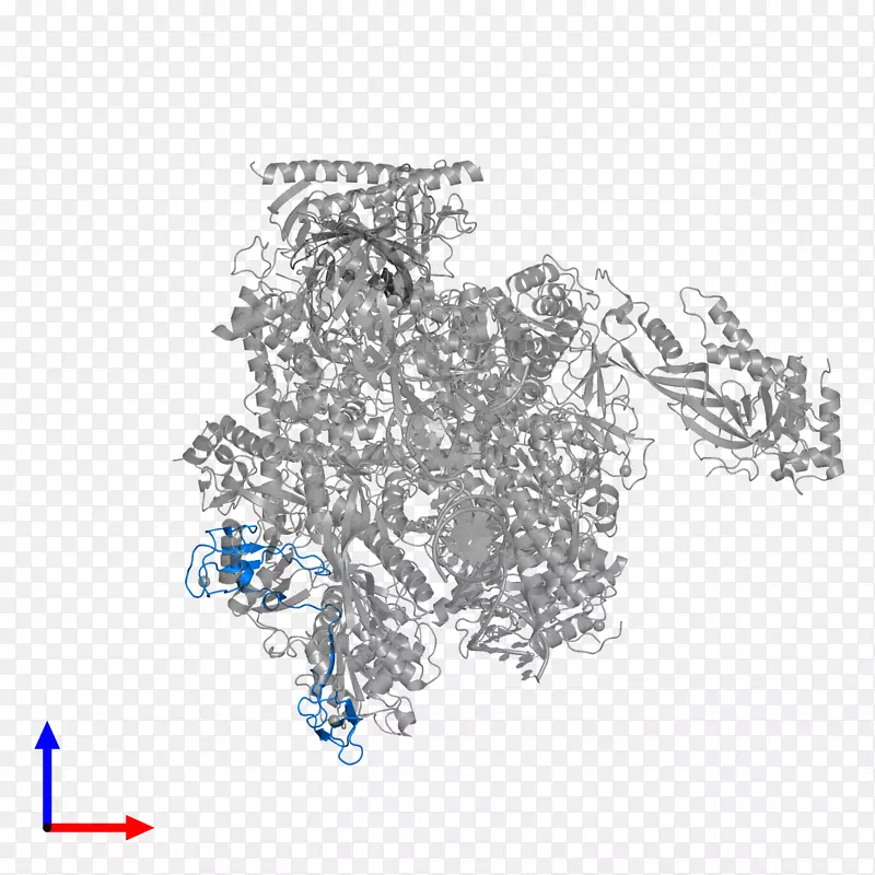 �����鱦��������-�ߵ�����ʳ-������