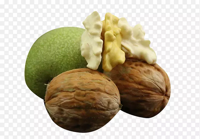 Ӣ������-���ʺ���-������